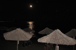 Moonlight / ***