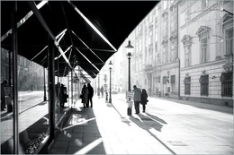 Morning Walk / ***