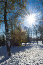Frost and sun. / ***