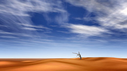 Lonely ... / ***
