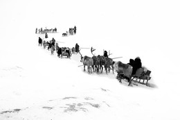 White silence. / ***