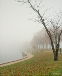 Im Nebel / ***