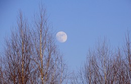 Lunar Abend / ***