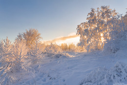 Frosty der Morgendämmerung. / ***