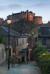The vennel / ***