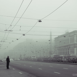 The Observer / ***