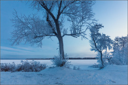 Coldest January / ***