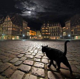 The night Watch / ***