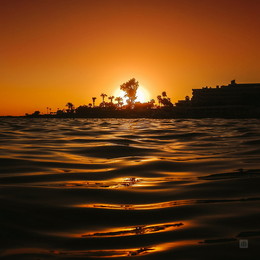 Golden Sunset / ***