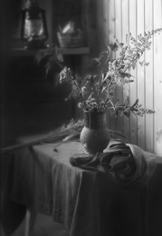 Ohne Titel / ***