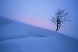 Carpathians / ***