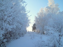 The Winter's Tale / ***