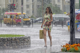 Rain / ***