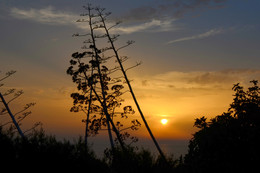 Sunset / ***