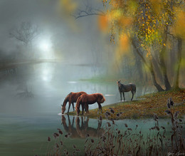 Evening / ***