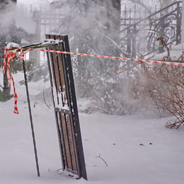 Winter / ***