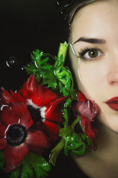 poppy flower / Violetta