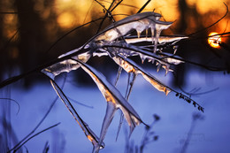 Sonnenuntergang im Winter / ***