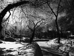 Winter etude. / ***