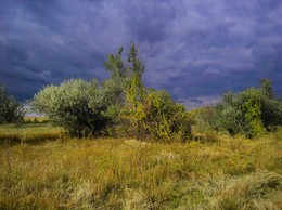 Change in the weather / ***
