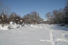 Winter sketch / ***