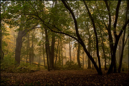 Herbst-Skizzen / ***