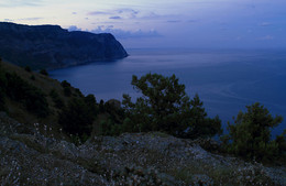 Bald dawn / ***
