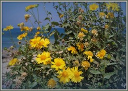 One summer / ***