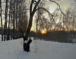 Winter Sunset / ***