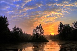 Dawn / ***