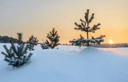 Nach dem Sonnenuntergang / ***