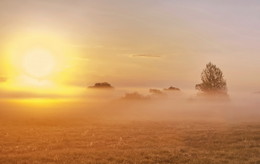 Der Morgen beginnt / ***