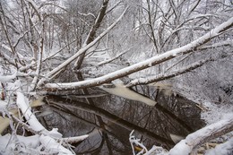 Winterlandschaft / ***