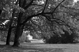 In Tsarskoye Selo / ***