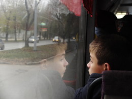 Der Bus / ***