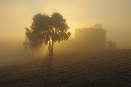 The House Of The Rising Sun / ***