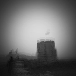in / ***