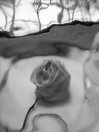 Creek / ***
