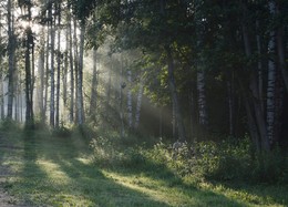 Über Licht ..... / ***