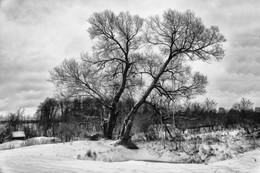 Pre-winter / ***