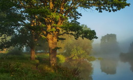 Sommermorgen / ***