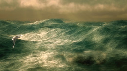Ocean is shaking... / ***