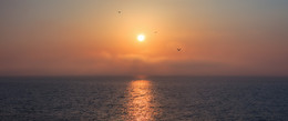 Relaxation / ***