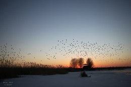 Bei Sonnenuntergang / ***