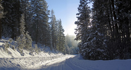 Freezing day / ***