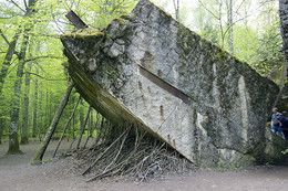 History / ***
