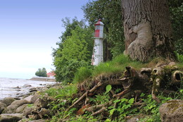 Landscape / ***