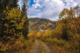 Herbst im Wald / ***
