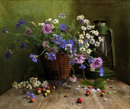 Ein Sommer / ***