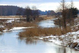 Marshy woodlands / ***